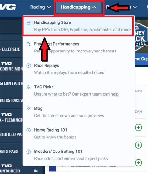 How to Buy/Purchase and Access/Download Past Performances.